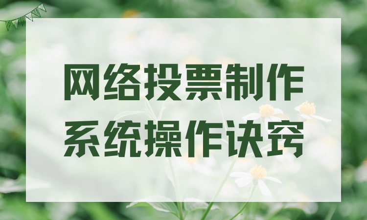 掌握网络投票制作系统操作诀窍，新手零基础也能轻松上手